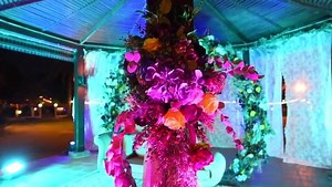 4.3K views · 55 reactions | A night to remember,Lavander valley  Starting with the kosha,flowers,tables,chairs,lights,sound,DJ,photographers to the full entire wedding setup,we are here to take care of you! You name it,Tamra got it! Special thanks to @concept_events_uae for the fantastic job!! @anoopettan you are awesome Getting married soon?let’s make your day unforgettable! Contact us at 0504211666 | Tamra Events | Facebook