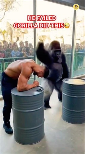 Human Strength vs Gorilla Power The Result Shocked Everyone #subscribe #shorts