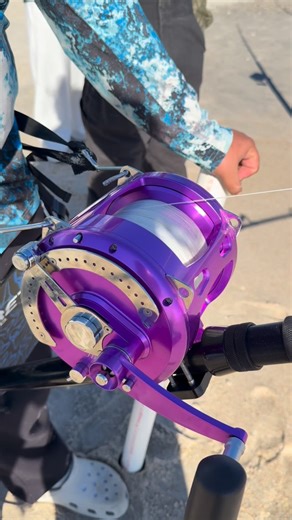 Monster Great White Shark Caught Fishing off the Beach!! @sharks_r_us_real #fishing #greatwhiteshark #sharkfishing #sharks #whiteshark #lbsf #dronefishing #swellpro #shark | SC Sharking