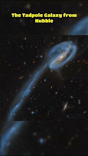 Astronomy Picture of the Day - The Tadpole Galaxy from Hubble