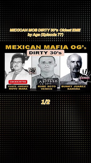 prisonchronicles on TikTok