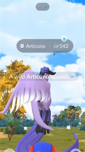 The Shiny King👑 on Instagram: "Galarian Articuno Encounter ! Who doesn’t love randomly seeing a Galarian bird! It’s always fun randomly stumble upon one on the daily, comment down below how many you’ve caught in total • • • • • • • Tags: #pokemon #pokémon #pokemongo #pokemongoshiny #pokemonshiny #pokemoncommunity #masterball #pokemoncommunity #shiny #shinypokemon #shinypokemongo #shinyhunter #shinyhunting #pikachu #xerneas #explore #explorepage #foryou #foryoupage #fyp #shinyhunter #reels #reel