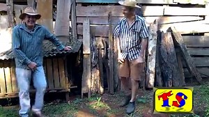 336K views · 8.1K reactions | Seleção dos Melhores Vídeos de Setembro e Outubro de 2019. | Tio e Sobrinho | Facebook