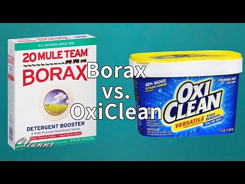 Borax vs Oxiclean: What is the difference?