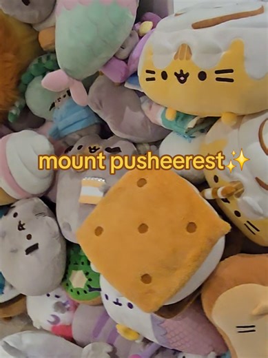 MOUNT PUSHEEREST #mounteverest #pusheen #mountain #pusheentok #pusheencollection