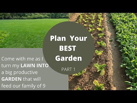 How to Plan a Garden a Garden From Scratch ~ Homesteading Family