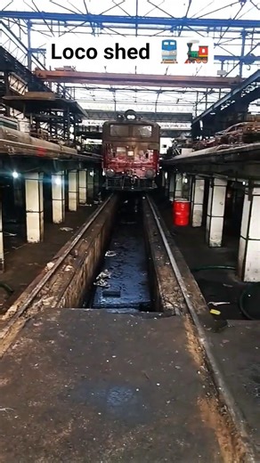electric loco shed working #train #traintravel #travel #technorailtech #tranding