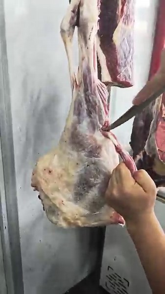 Butchering Lamb Leg | Professional Meat Cutting Skills #shorts