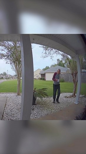 4.8M views · 10K reactions | These beautiful men need to be protected at all costs 凉 P.S. please help him with his puzzle, it sounds important ❤️❤️ ( via: megrey_7 ) Follow @majicallynews for more #wholesome moments | Majically News | Facebook