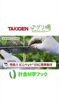 きゅうりの吊るおろし誘引に【 針金M字フック C-1624 】｜TAKIGEN｜アグリ場
