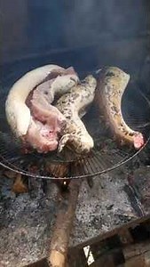 Cooking Anaconda Meat