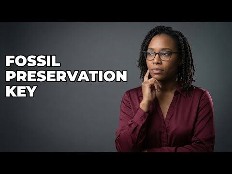 Why Is Rapid Burial Crucial For Fossil Formation?