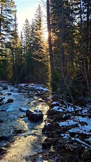 Big Creek Trail | Bitterroot Mountains | Montana #mountains #hiking #montana #asmr #notalking