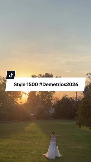 DEMETRIOSBRIDE▪️Wedding Dress su TikTok
