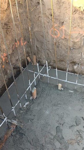 My New House Already Has A Squatter 😭