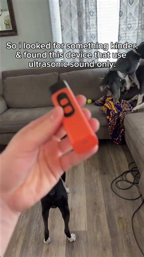 This device only uses ultrasonic sound 🐶😱 #viral #foryou #youtubeshorts #pets