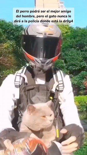 1.7K views · 1.4K reactions | , #biker | Jerry Meraz | Facebook