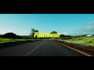 持続するエネルギー源 パラチノース®︎ 『続け、全力。』篇 15秒