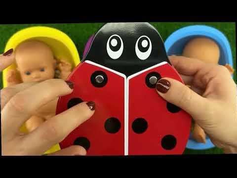 Animal Fountain Crossing 3d| Zabra | Lion | Tiger | Lion | Elephant