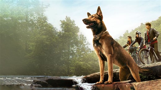 De qué se trata MAX, la EMOTIVA PELÍCULA que volvió a NETFLIX y es de lo MÁS VISTO en la plataforma