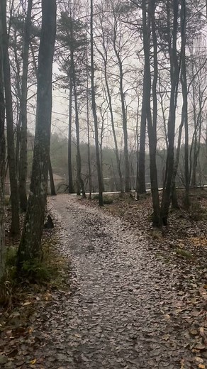 Day 71/365. Still 8.5°C in the water — I’m still waiting for the cold ❄️ #SwedishForestGirl #ColdWaterTherapy #NordicMorning #SlowLiving #NatureHealing#mindfulmoments #coldbathchallenge #dailyritual #nature #forest #lake | Swedish Forest Girl
