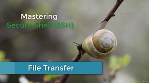 精通SSH第四章 File Transfer using SSH (SCP & SFTP)