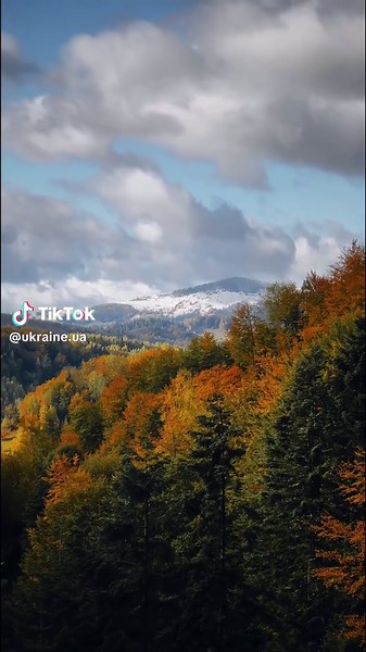 Enjoy the last warm autumn days and vibrant colours of Ukrainian nature 🍂🇺🇦 #Carpathians 🫶 Video: mobi.jpg / Instagram