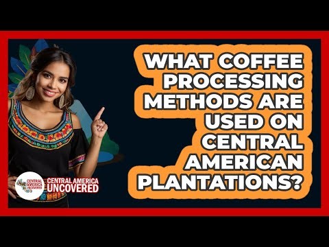 What Coffee Processing Methods Are Used On Central American Plantations? - Central America Uncovered