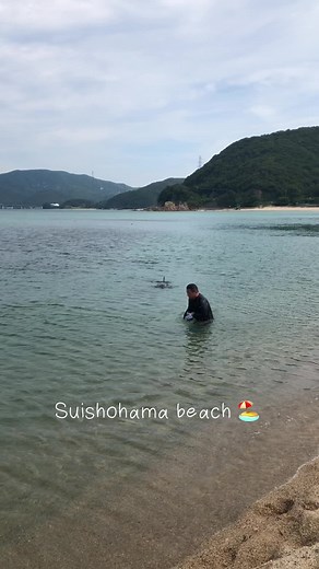 水晶浜海水浴場: イルカと福岡サメのあるビーチ | 福井県の夏のおすすめスポット