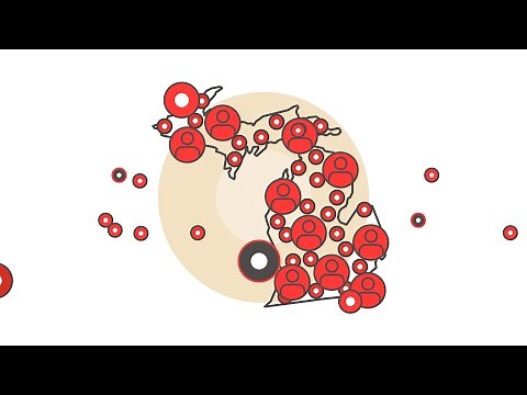 Michigan Auto Insurance Reform | State Farm®