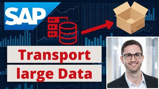 SAP Tip: Include large Data into Customizing Transport | Torben Stark