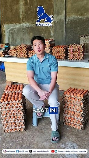 Dengan Pakan Komplit POKPHAND 524 Alfa + PROBIOTIK Telur jadi kualitas Premium