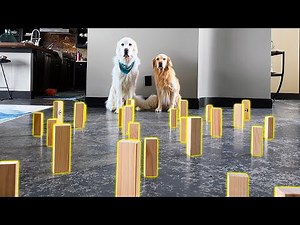 TIP TOE CHALLENGE! (Super Cooper Sunday #248)