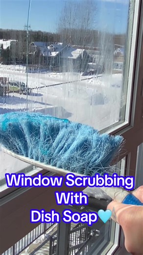 Effective Window Scrubbing with Dish Soap