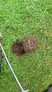 Metal Detecting Model T Valve Stem 1800 Coins Relics Toys Farm Western NY #metaldetecting #shorts | Metal Detecting NY