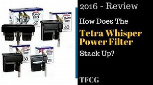 Tetra Whisper Power Filter Review: How Does It Stack Up In 2026?
