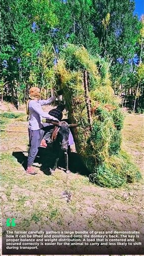 This Grass-Loading Technique Is Surprisingly Impressive #farmlife #smart #ideas #skills #trending
