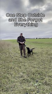 156K views · 1.4K reactions | Ever notice how your dog walks...