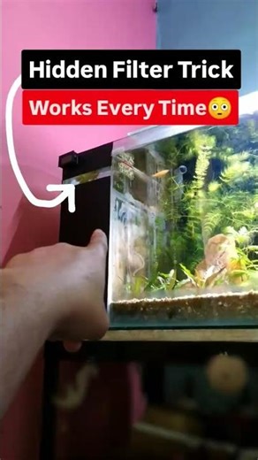 How to Make a Mini Refugium Filter😳❓ #plantedaquarium #aquariumfilter #aquarium #shorts