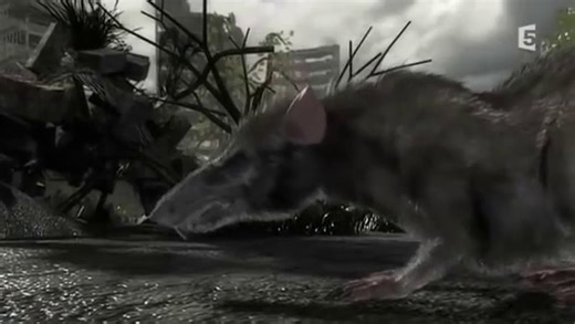 Animal Armageddon - La prochaine extinction