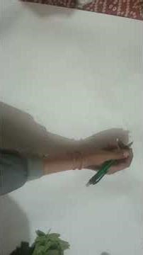 Tree Project | School Science Project | Importance of Trees | Save Trees 🌱