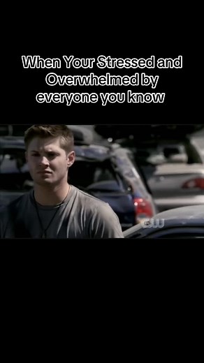 #ravenforyoupage #foryourpage #rfyp #fyp