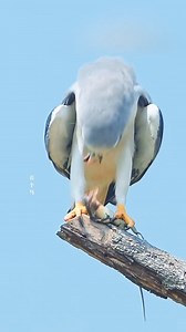 Biology Online Lecture on Reels