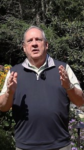 A midweek reminder for you...don't let fear rob you of your dreams! #SeeYouAtTheTop | John Addison