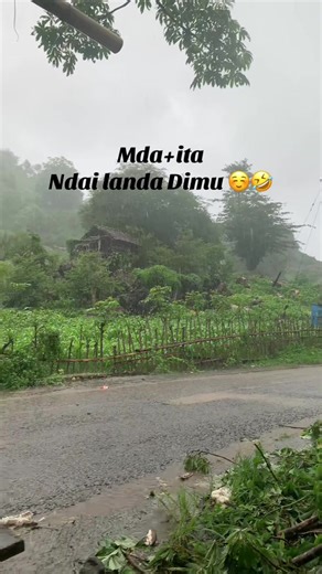 Mda and Landa Dimu: A Fun Journey