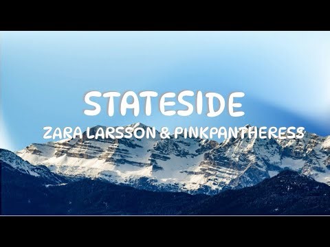 Stateside- Zara Larsson& Pinkpantheress