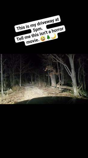 Driving down my long country driveway tonight — and it’s not even 5pm and the woods are already giving spooky vibes. 🌙🚗 It’s beautiful, eerie, quiet, and somehow peaceful all at once. Fall does something magical to these trees… even in the dark. 🌲🍂✨ #ThatPorscheWoman #CountryDrive #TennesseeLife #EveningDrive #SpookyVibes #FallNights #CountryRoads #LifeInMotion #SouthernStories #BackroadBeauty | That Porsche Woman