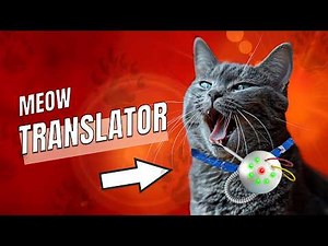 AI Gadgets Your Cat Will Love | Revolutionary Cat Tech