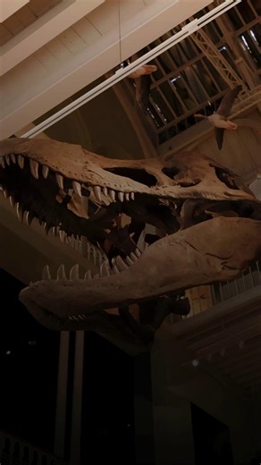 ✨ Step into the origins of modern geological thought. ✨ At this year’s Connects 2025 Night at the Museum, explore The Lost Drawings—a once-forgotten collection of John Clerk of Eldin’s 18th-century illustrations for James Hutton’s Theory of the Earth. Rarely displayed, these works offer a stunning glimpse into the foundations of modern geology, presented in honor of Hutton’s 300th birthday. Learn more about The Lost Drawings here: geosociety.co/3VLFOUQ Add this unforgettable evening at the Brisc