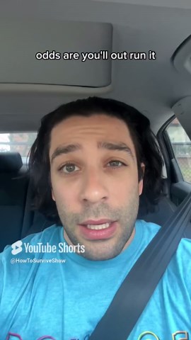 Should You Run in a Zigzag to Escape an Alligator?